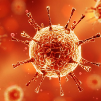 Dicas Contra Covid-19: Como proceder para entrar e sair de casa e conviver com pessoas dos grupos de risco